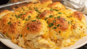 Casserole De Poulet Aux Biscuits - 1