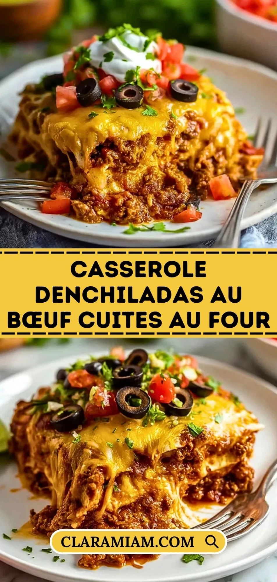 Casserole DEnchiladas Au Bœuf Cuites Au Four - Pin 1