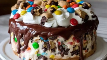 Gâteau Glacé Au Chocolat Et M&Ms