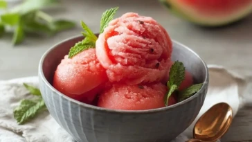 Sorbet de Pastèque Sans Sucre