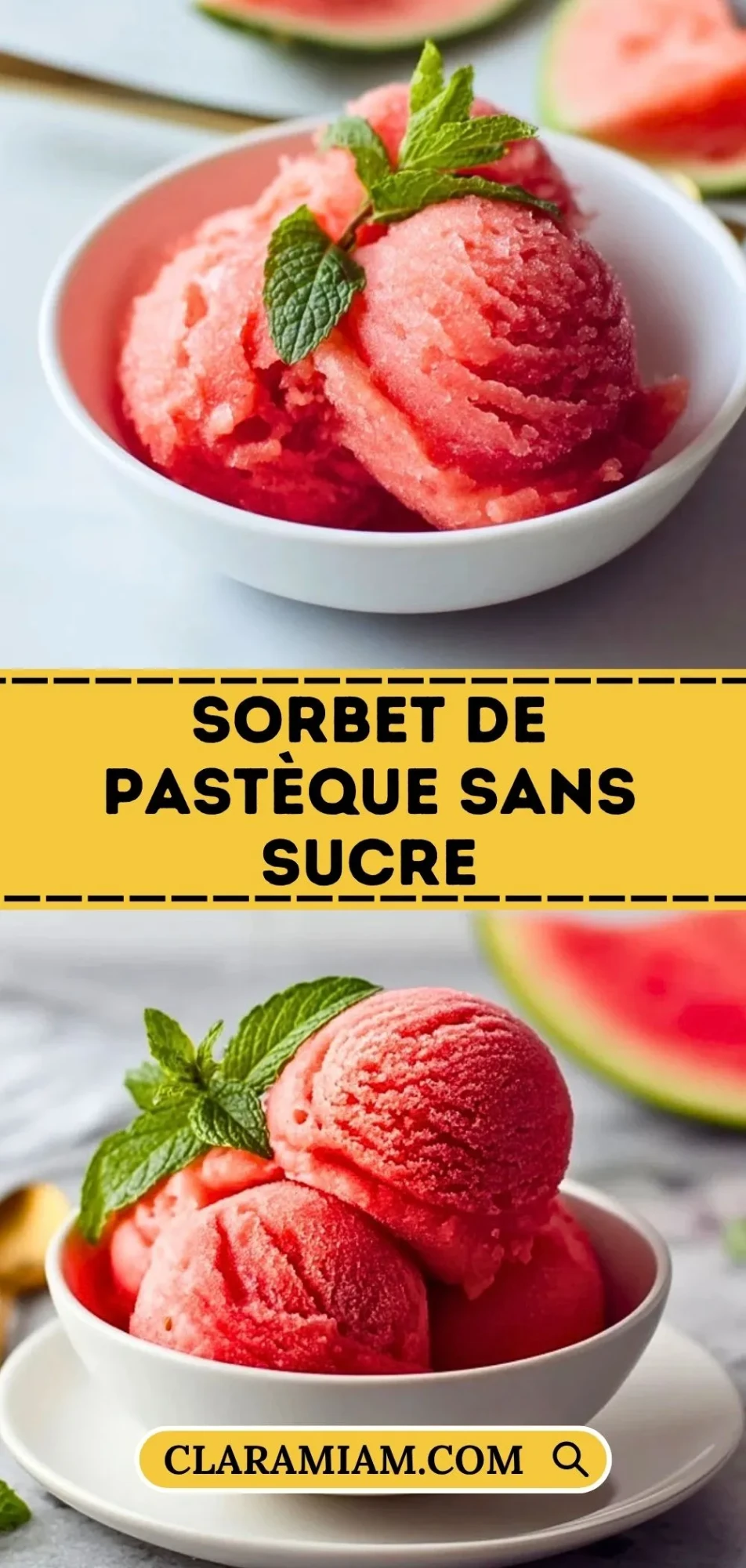Sorbet de Pastèque Sans Sucre - Pin 1